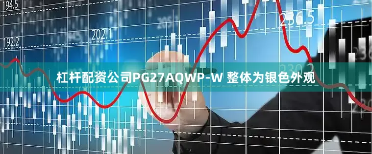 杠杆配资公司PG27AQWP-W 整体为银色外观